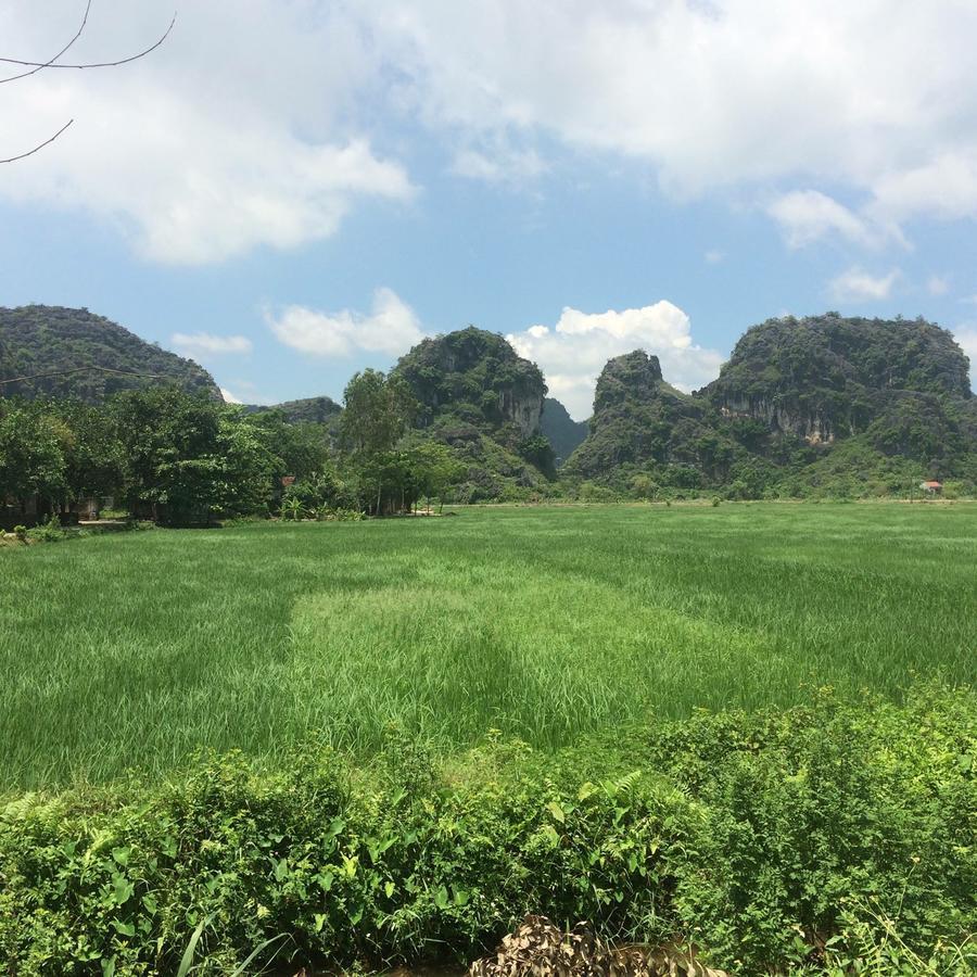 Tam Coc Tuan Minh Homestay Ninh Bình Ngoại thất bức ảnh