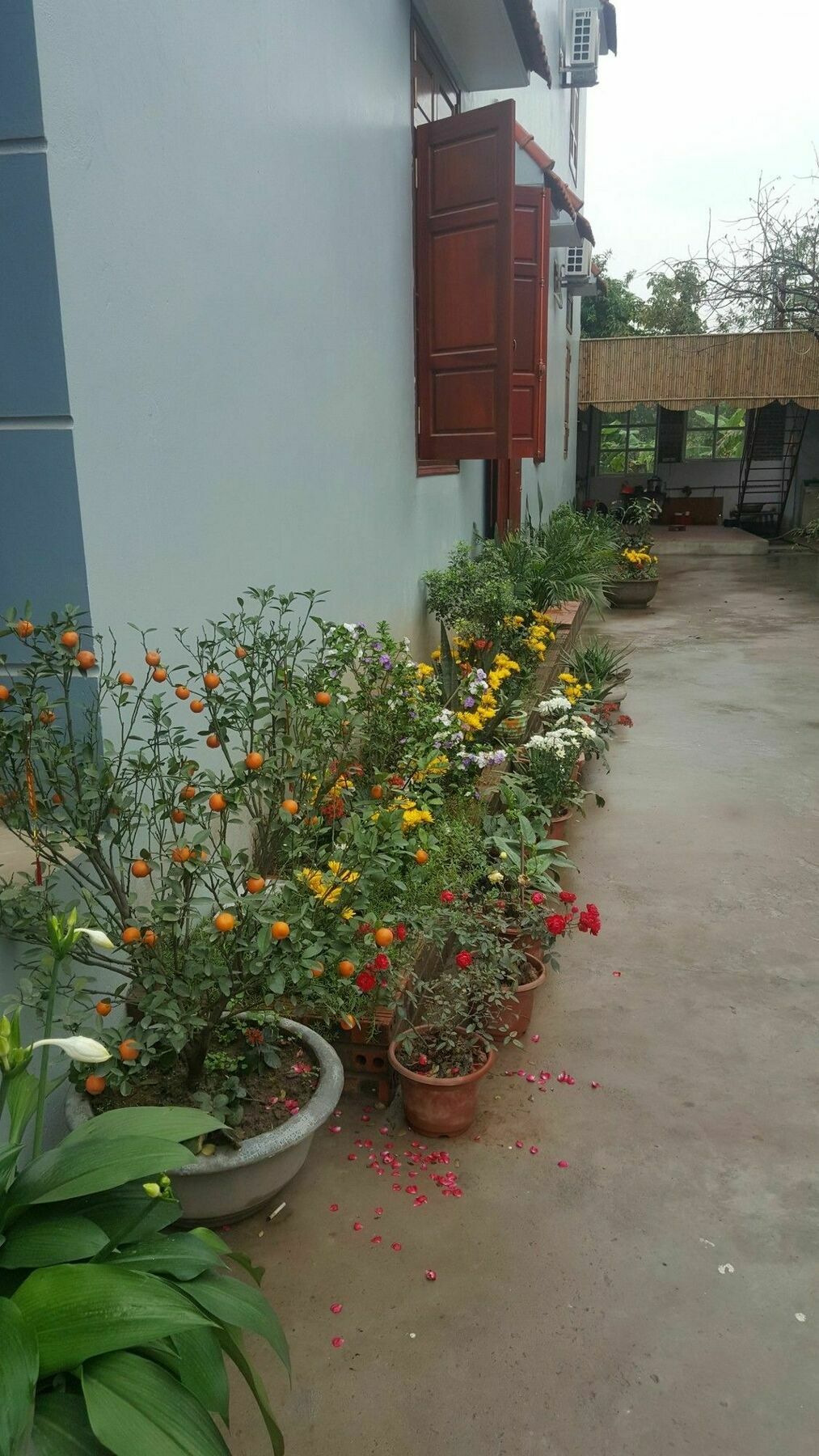 Tam Coc Tuan Minh Homestay Ninh Bình Ngoại thất bức ảnh